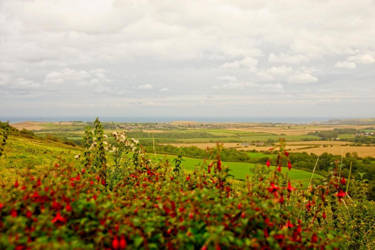 Rosecombe, Borrowby Farm Cottages สเตทส์ ภายนอก รูปภาพ